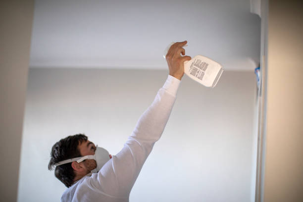 Professional Mold Removal in Union, MO
