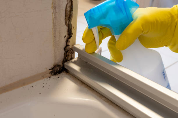 Best Crawl Space Mold Removal  in Union, MO