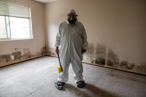 Best Mold Testing  in Union, MO